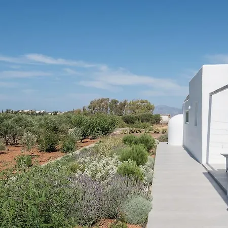 Klar, On The Outskirts Of , Paros *