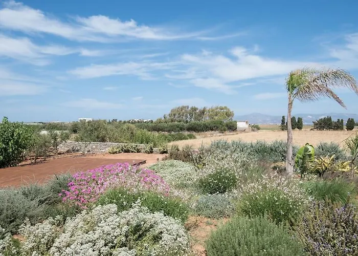 Vila Klar, On The Outskirts Of , Paros
